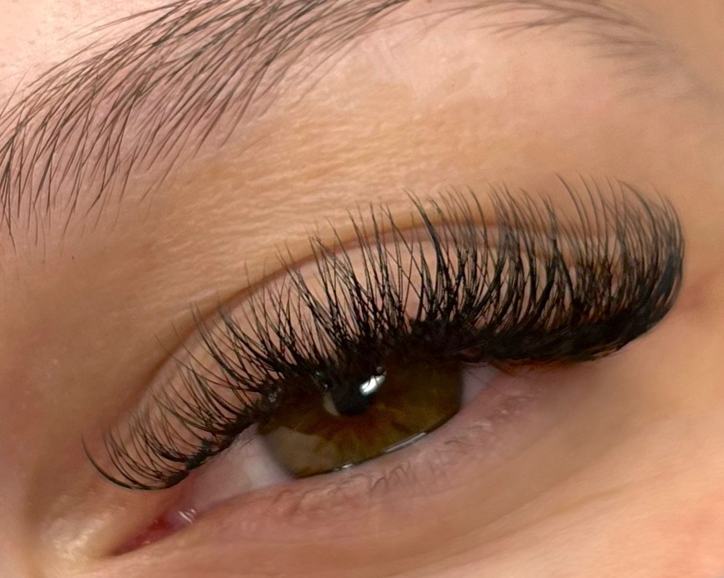 Volume Lashes